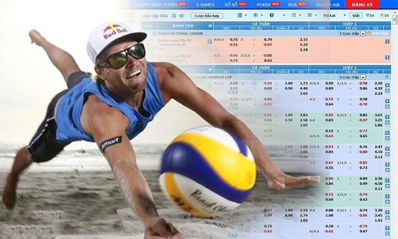 Cá cược bóng chuyền Vsport thu hút sự quan tâm
