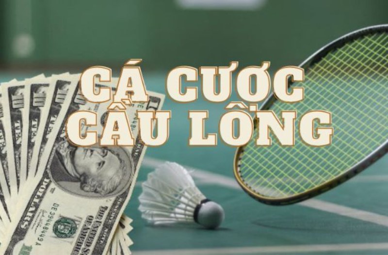 Cá cược cầu lông Vsport mang lại cho anh em cơ hội đoán kết quả nhiều giải đấu